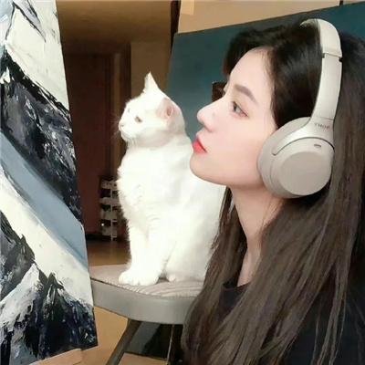 暗之伴走者